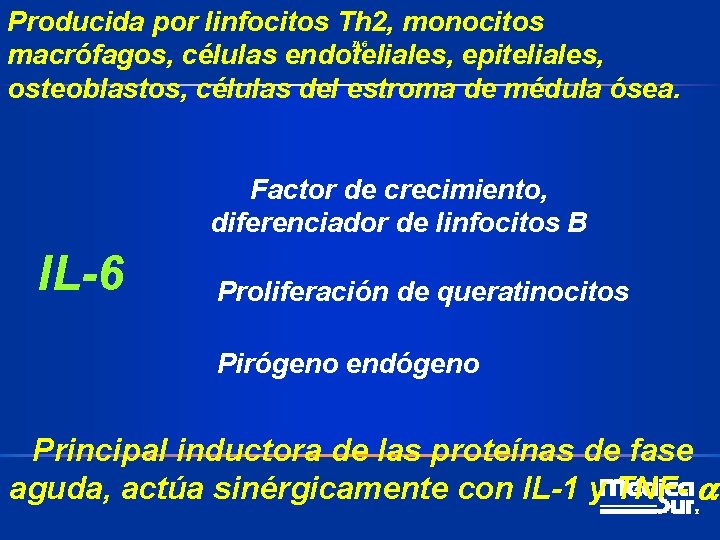 Producida por linfocitos Th 2, monocitos macrófagos, células endoteliales, epiteliales, osteoblastos, células del estroma