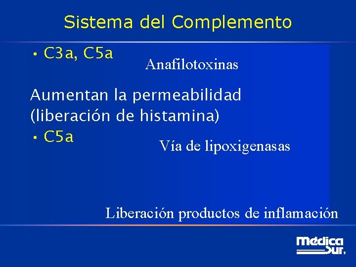 Sistema del Complemento • C 3 a, C 5 a Anafilotoxinas Aumentan la permeabilidad