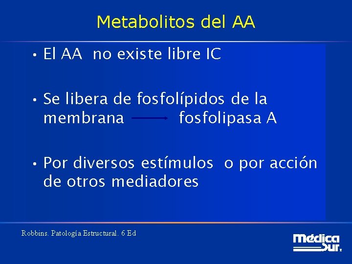 Metabolitos del AA • El AA no existe libre IC • Se libera de