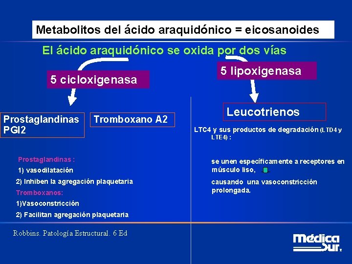 Metabolitos del ácido araquidónico = eicosanoides El ácido araquidónico se oxida por dos vías