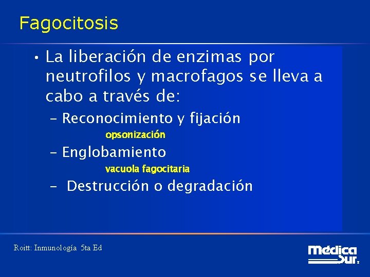 Fagocitosis • La liberación de enzimas por neutrofilos y macrofagos se lleva a cabo