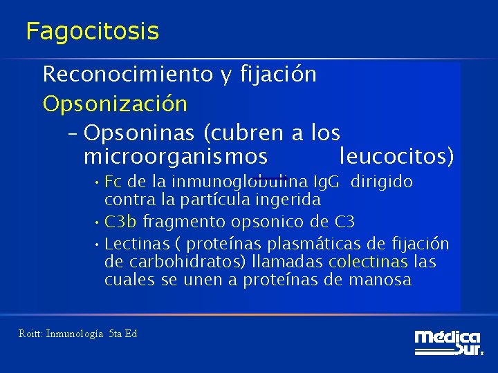 Fagocitosis Reconocimiento y fijación Opsonización – Opsoninas (cubren a los microorganismos leucocitos) • Fc