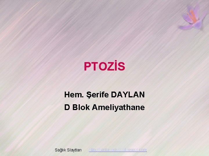 PTOZİS Hem. Şerife DAYLAN D Blok Ameliyathane Sağlık Slaytları http: //hastaneciyiz. blogspot. com 