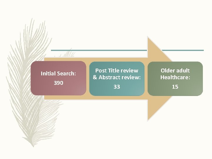 Initial Search: 390 Post Title review & Abstract review: Older adult Healthcare: 33 15