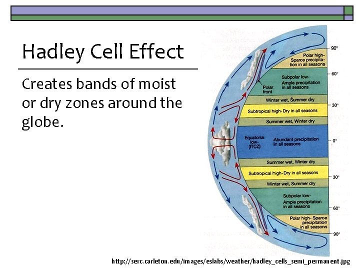 Hadley Cell Effect Creates bands of moist or dry zones around the globe. http: