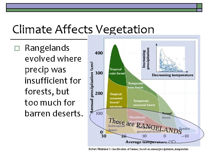 Climate Affects Vegetation o Rangelands evolved where precip was insufficient forests, but too much