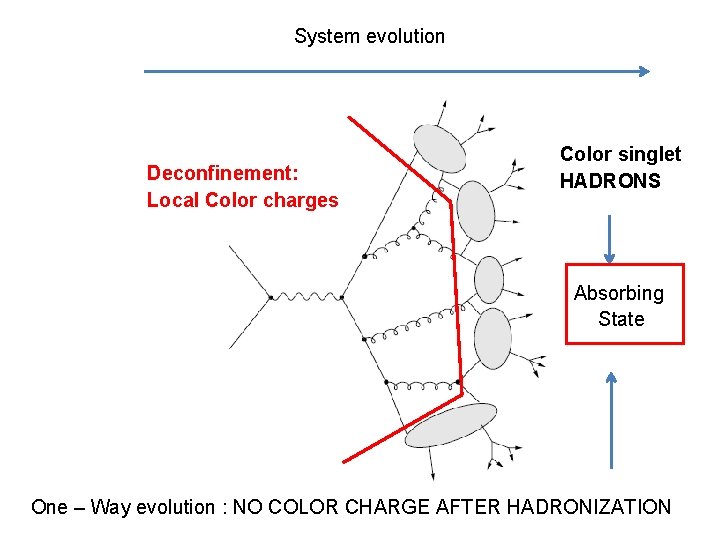 System evolution Deconfinement: Local Color charges Color singlet HADRONS Absorbing State One – Way