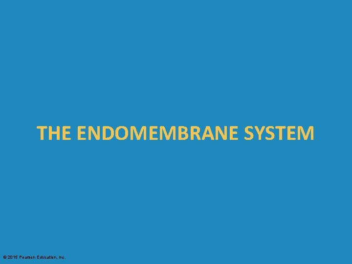 THE ENDOMEMBRANE SYSTEM © 2015 Pearson Education, Inc. 