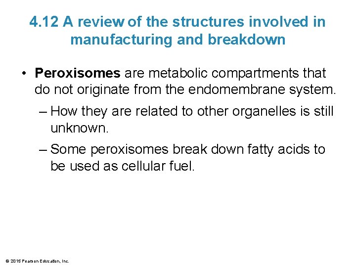 4. 12 A review of the structures involved in manufacturing and breakdown • Peroxisomes