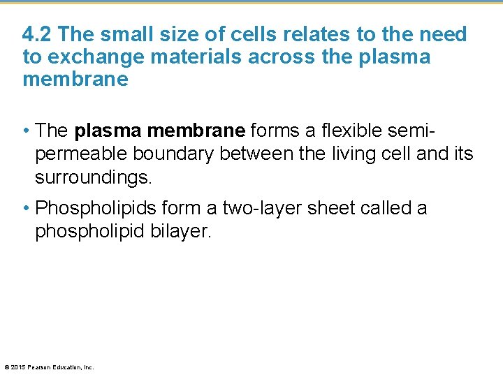 4. 2 The small size of cells relates to the need to exchange materials