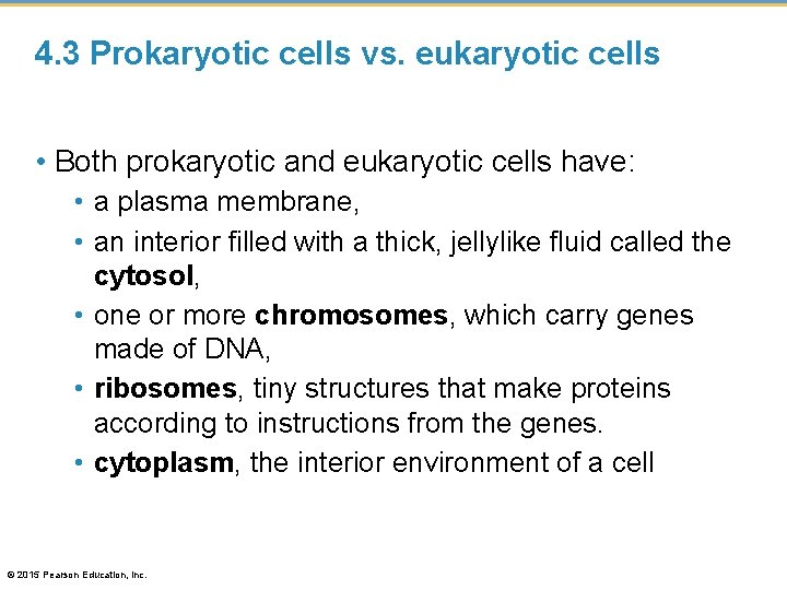 4. 3 Prokaryotic cells vs. eukaryotic cells • Both prokaryotic and eukaryotic cells have: