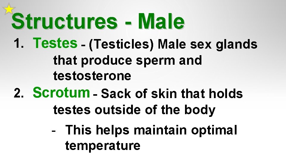 Structures - Male 1. Testes - (Testicles) Male sex glands that produce sperm and Structures - Male 1. Testes - (Testicles) Male sex glands that produce sperm and