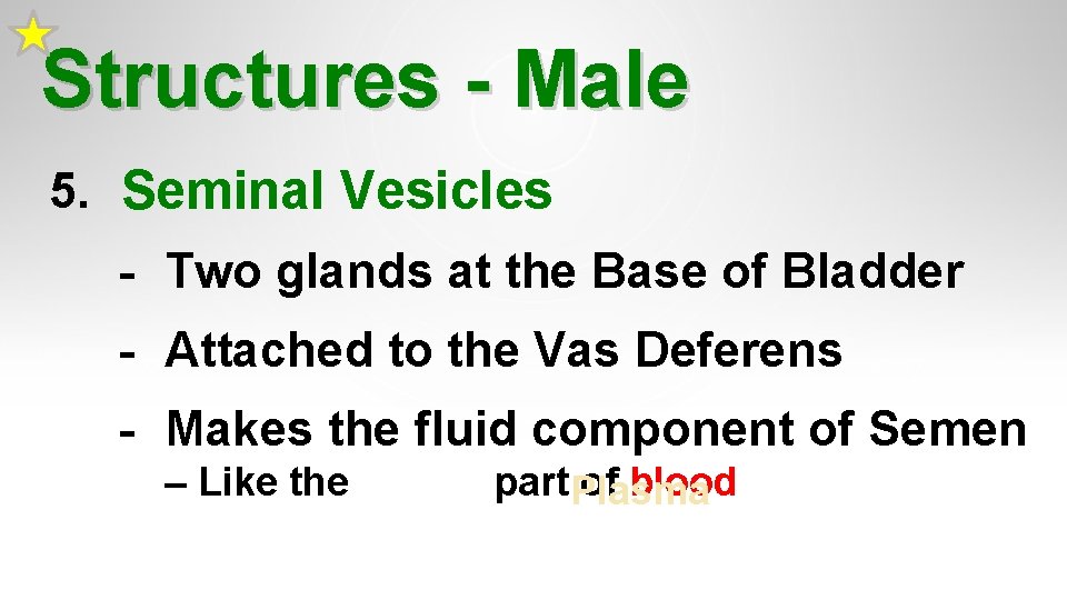 Structures - Male 5. Seminal Vesicles - Two glands at the Base of Bladder Structures - Male 5. Seminal Vesicles - Two glands at the Base of Bladder