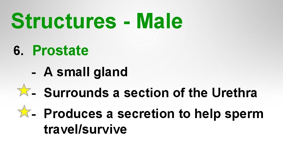 Structures - Male 6. Prostate - A small gland - Surrounds a section of Structures - Male 6. Prostate - A small gland - Surrounds a section of