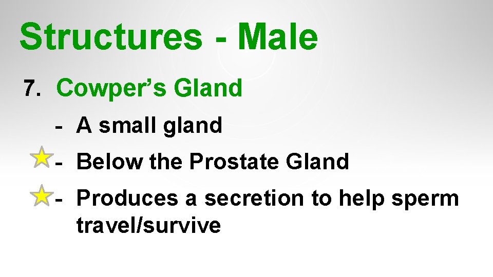 Structures - Male 7. Cowper’s Gland - A small gland - Below the Prostate Structures - Male 7. Cowper’s Gland - A small gland - Below the Prostate