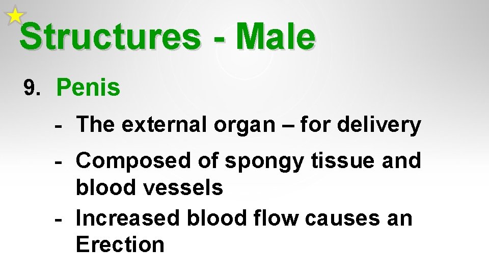 Structures - Male 9. Penis - The external organ – for delivery - Composed Structures - Male 9. Penis - The external organ – for delivery - Composed