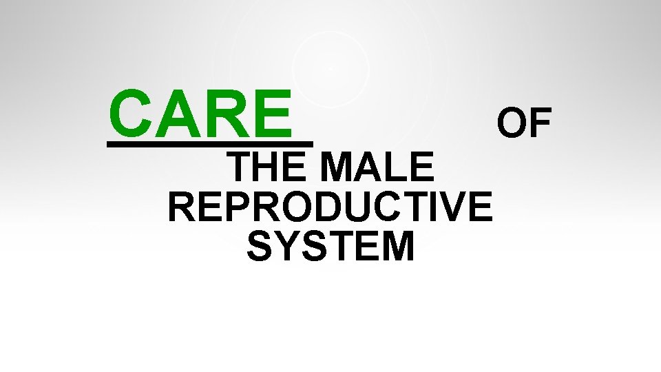 CARE THE MALE REPRODUCTIVE SYSTEM OF CARE THE MALE REPRODUCTIVE SYSTEM OF