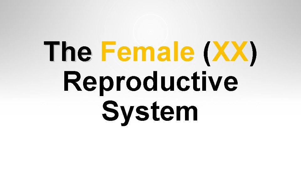 The Female (XX) Reproductive System The Female (XX) Reproductive System