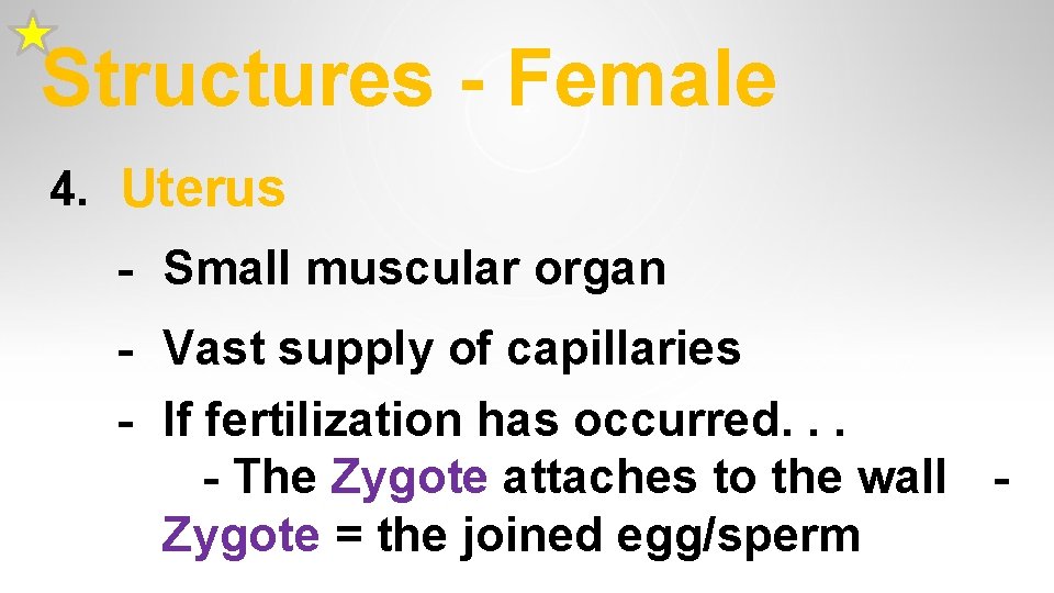Structures - Female 4. Uterus - Small muscular organ - Vast supply of capillaries Structures - Female 4. Uterus - Small muscular organ - Vast supply of capillaries