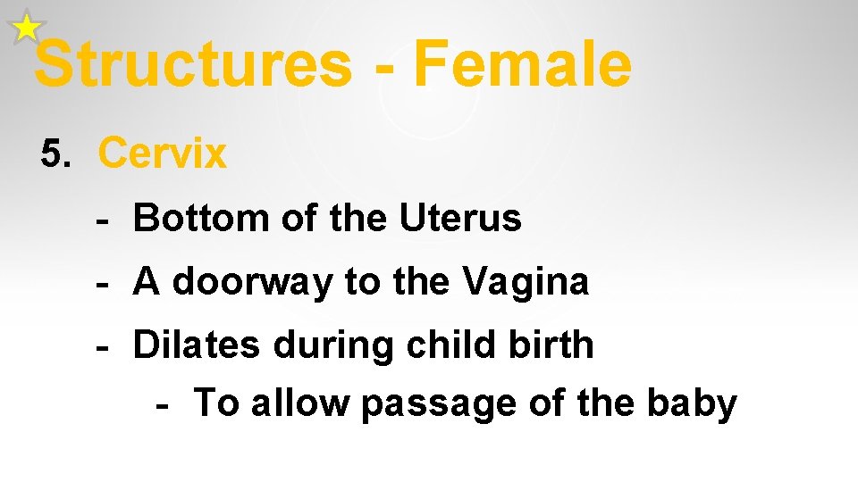 Structures - Female 5. Cervix - Bottom of the Uterus - A doorway to Structures - Female 5. Cervix - Bottom of the Uterus - A doorway to