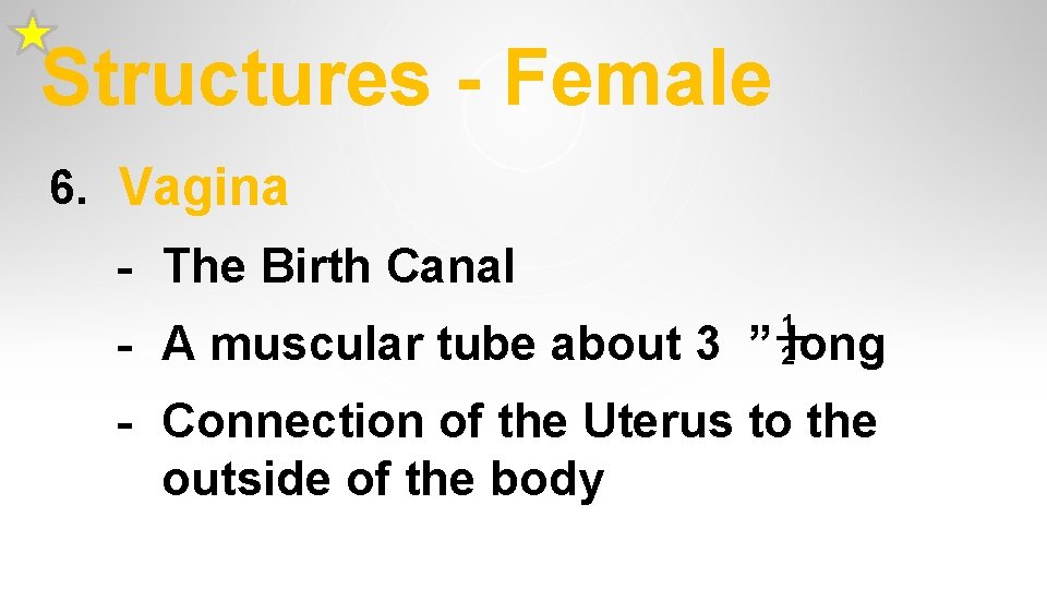 Structures - Female 6. Vagina - The Birth Canal 1 __ 2 - A Structures - Female 6. Vagina - The Birth Canal 1 __ 2 - A