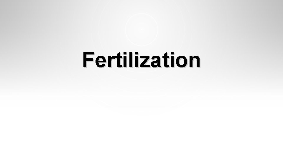 Fertilization Fertilization