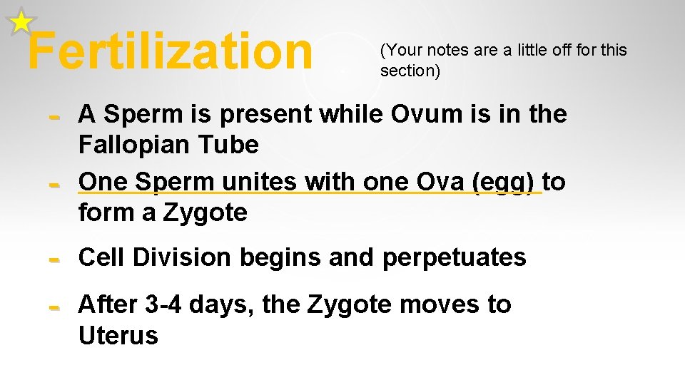 Fertilization (Your notes are a little off for this section) - A Sperm is Fertilization (Your notes are a little off for this section) - A Sperm is