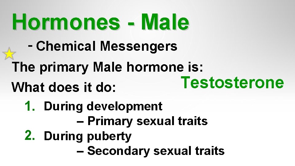 Hormones - Male - Chemical Messengers The primary Male hormone is: Testosterone What does Hormones - Male - Chemical Messengers The primary Male hormone is: Testosterone What does