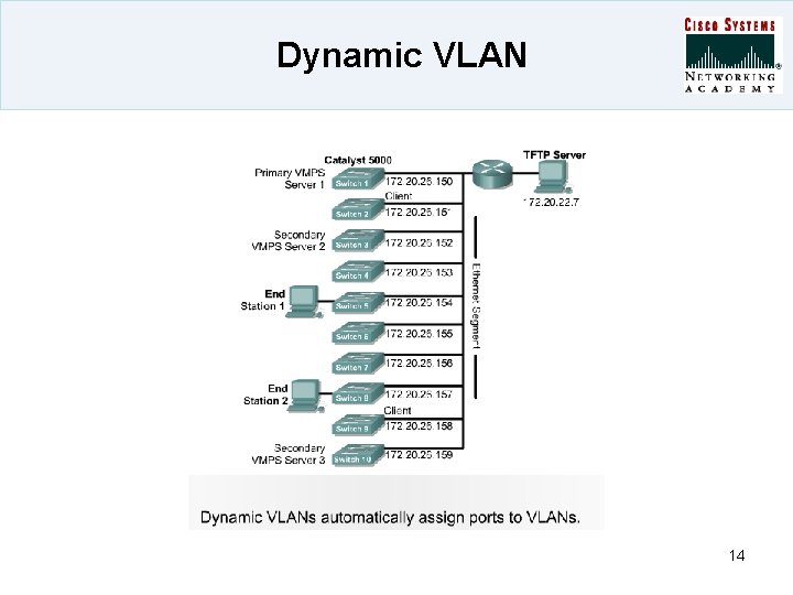 Dynamic VLAN 14 