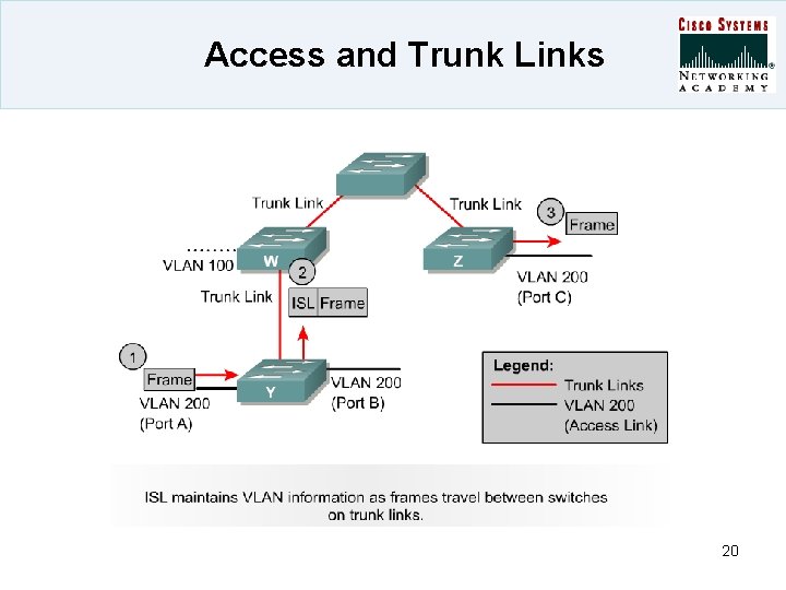 Access and Trunk Links 20 