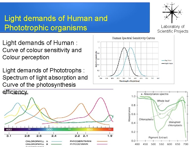 Light demands of Human and Phototrophic organisms Light demands of Human : Curve of