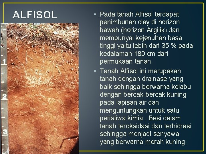ALFISOL • Pada tanah Alfisol terdapat penimbunan clay di horizon bawah (horizon Argilik) dan
