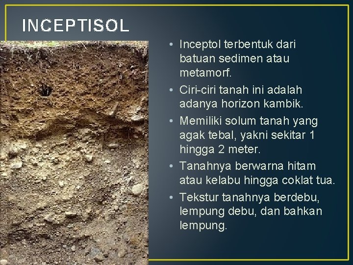 INCEPTISOL • Inceptol terbentuk dari batuan sedimen atau metamorf. • Ciri-ciri tanah ini adalah