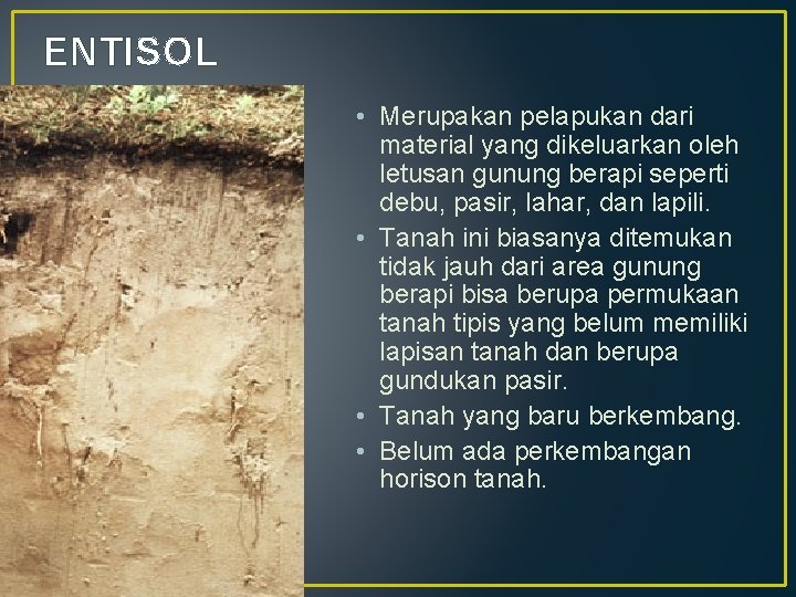 ENTISOL • Merupakan pelapukan dari material yang dikeluarkan oleh letusan gunung berapi seperti debu,