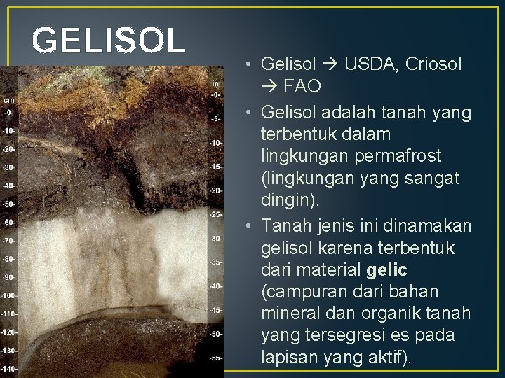GELISOL • Gelisol USDA, Criosol FAO • Gelisol adalah tanah yang terbentuk dalam lingkungan