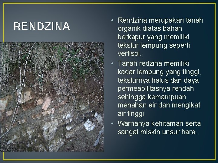 RENDZINA • Rendzina merupakan tanah organik diatas bahan berkapur yang memiliki tekstur lempung seperti