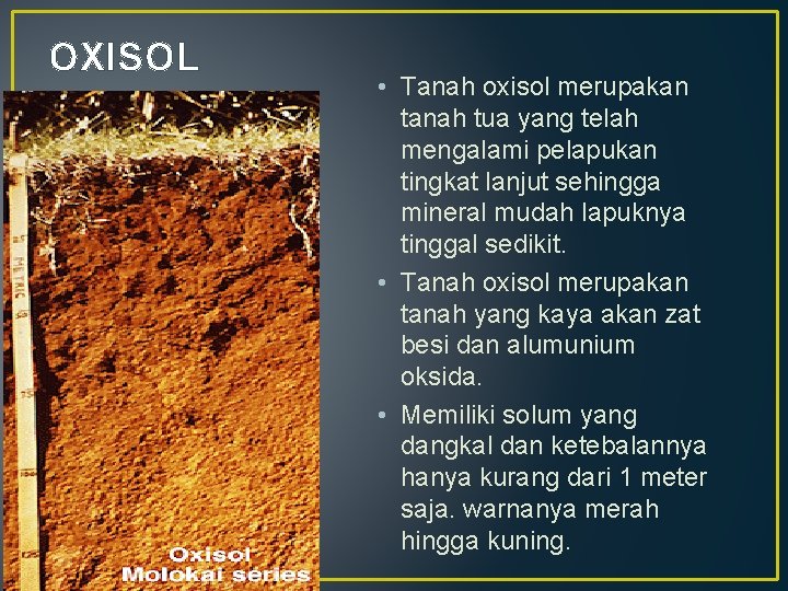 OXISOL • Tanah oxisol merupakan tanah tua yang telah mengalami pelapukan tingkat lanjut sehingga