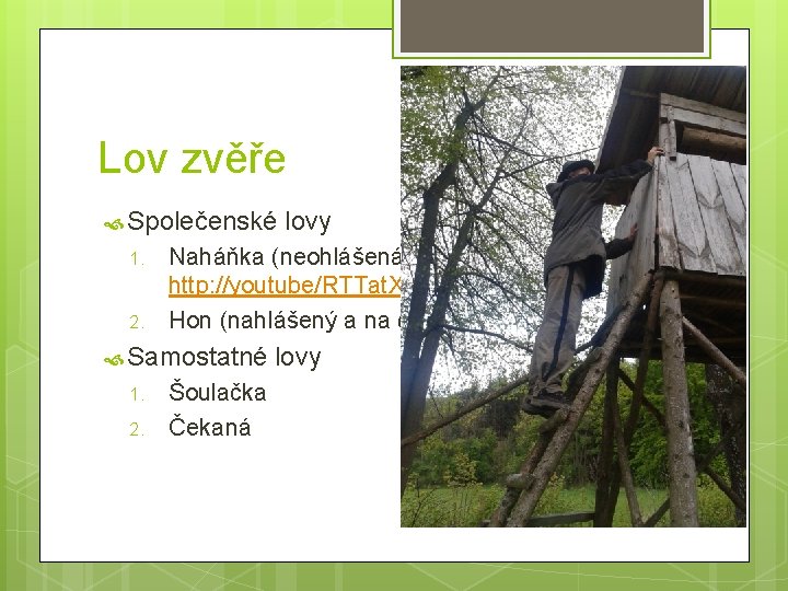 Lov zvěře Společenské lovy 1. 2. Naháňka (neohlášená a na vysokou) http: //youtube/RTTat. Xl