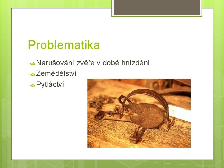 Problematika Narušování zvěře v době hnízdění Zemědělství Pytláctví 