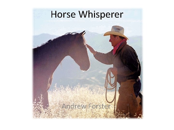 Horse Whisperer Andrew Forster 