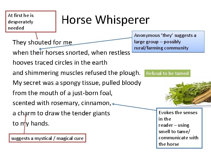 At first he is desperately needed Horse Whisperer Anonymous ‘they’ suggests a large group