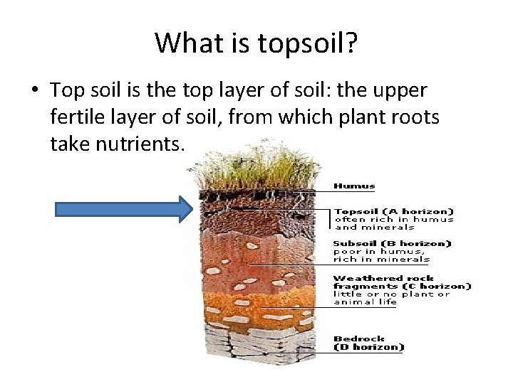 What is topsoil? • Top soil is the top layer of soil: the upper