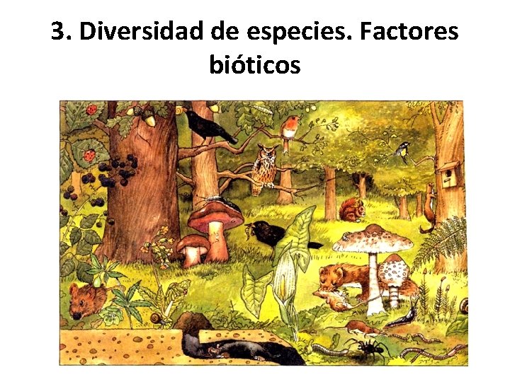 3. Diversidad de especies. Factores bióticos 