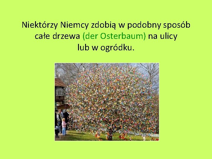 Niektórzy Niemcy zdobią w podobny sposób całe drzewa (der Osterbaum) na ulicy lub w