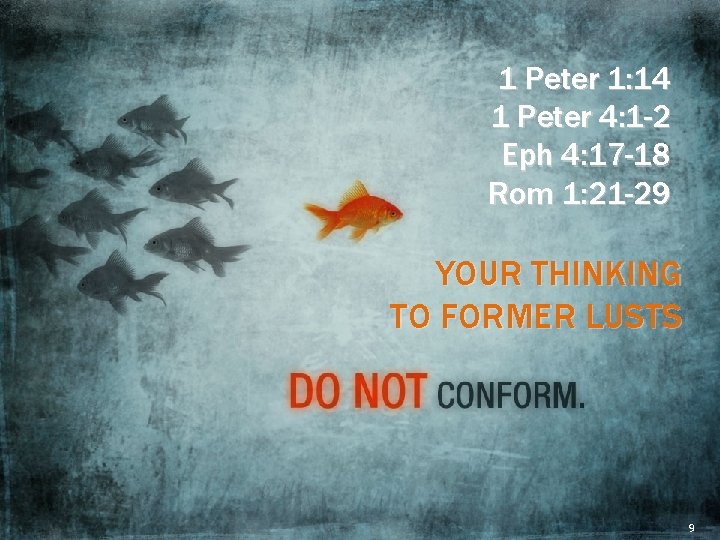 1 Peter 1: 14 1 Peter 4: 1 -2 Eph 4: 17 -18 Rom