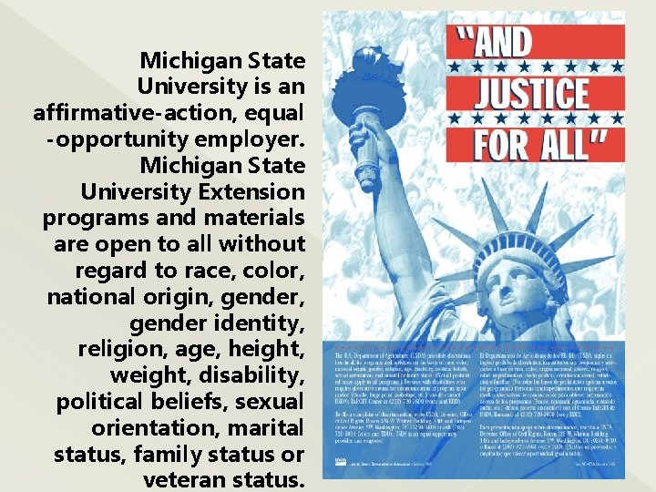 Michigan State University is an affirmativeaction equal opportunity