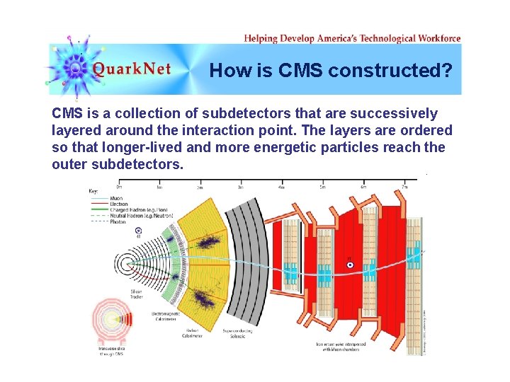 How is CMS constructed? CMS is a collection of subdetectors that are successively layered