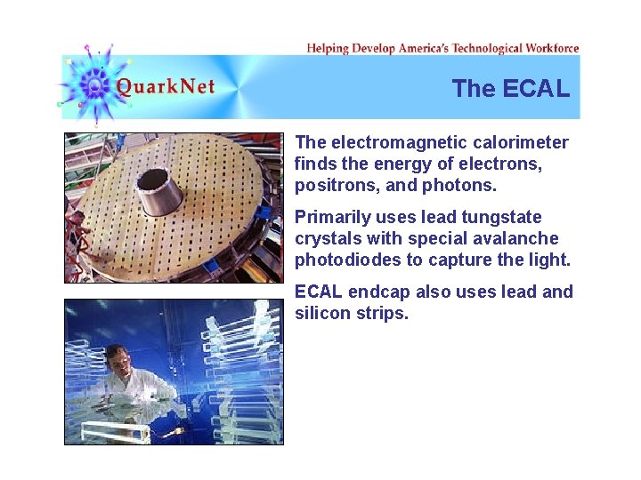 The ECAL The electromagnetic calorimeter finds the energy of electrons, positrons, and photons. Primarily