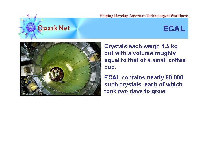 ECAL Crystals each weigh 1. 5 kg but with a volume roughly equal to