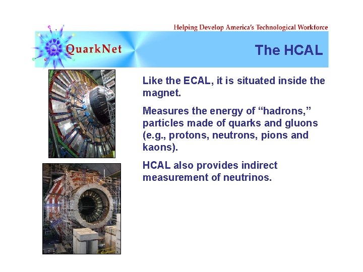 The HCAL Like the ECAL, it is situated inside the magnet. Measures the energy